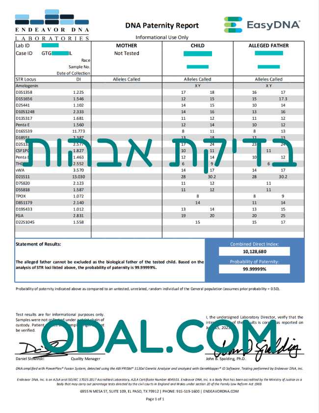 בדיקת אבהות - תוצאה חיובית